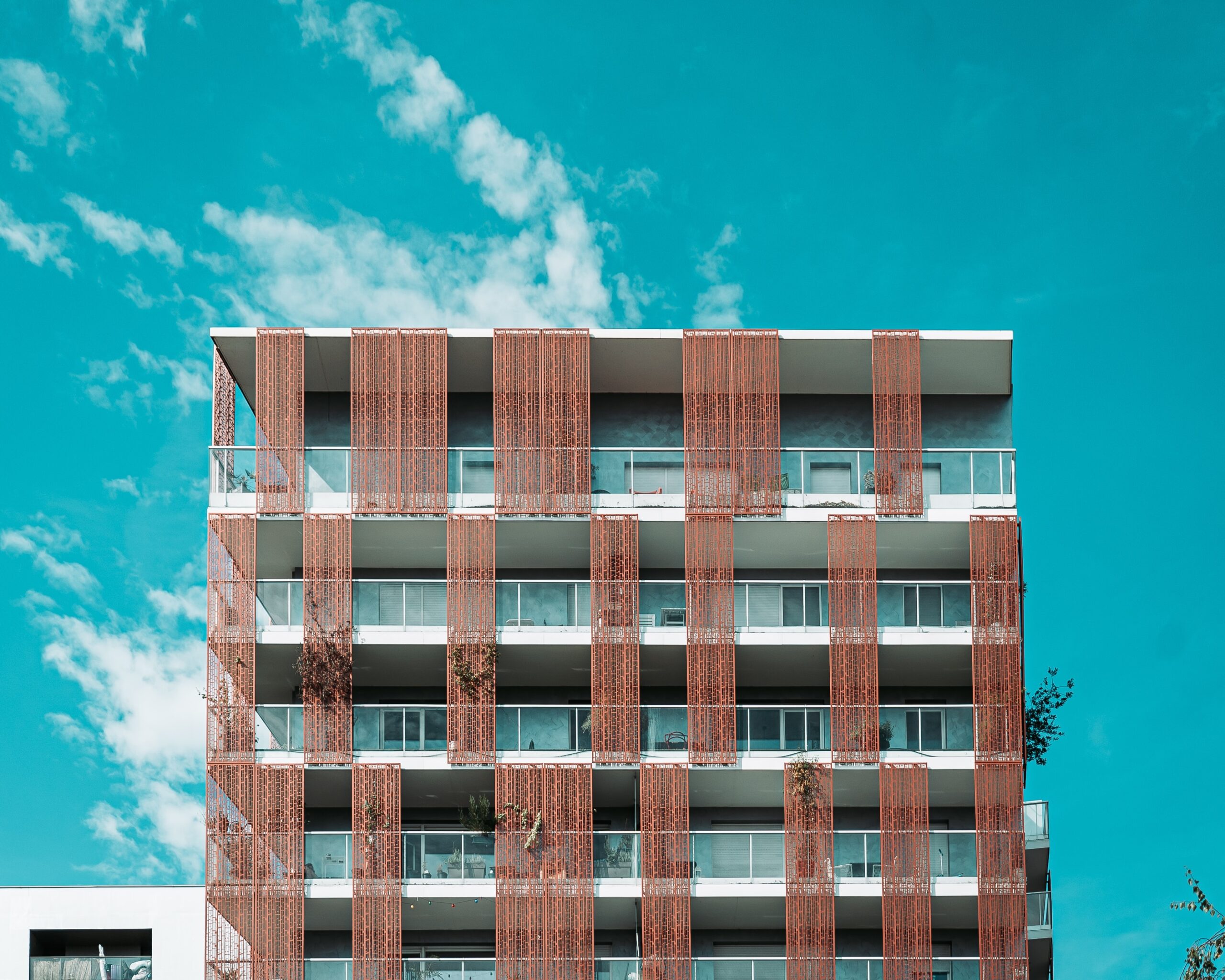 mika-baumeister-PshCtT16gJo-unsplash